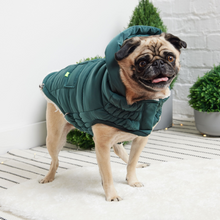 Load image into Gallery viewer, Super Puff Parka - Teal