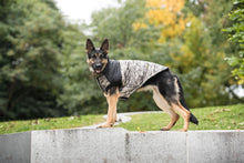 Load image into Gallery viewer, US Army Dog Jacket - Camo