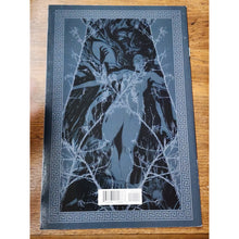 Load image into Gallery viewer, SUMMER SHADOWS #2 (2024) Nick, John Harris Dunning, Ricardo Cabral, Dark Horse