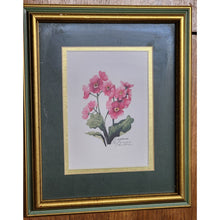 Load image into Gallery viewer, Watercolor PRIMROSE by Carol L. McElderry Linkkila. Signed And Numbered Print