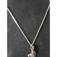 Load image into Gallery viewer, Black Oxidized Stainless Steel Chain Necklace, with Cobra &amp; Man with Skull...