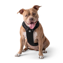 Load image into Gallery viewer, Travel Harness - Black