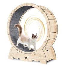 Load image into Gallery viewer, Feline Fitness Wheel