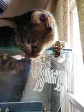 Load image into Gallery viewer, &quot;PussyWhipped&quot; Kitten Logo, Removable 4.5&quot; x 3.5&quot; Vinyl Decal (Window Sticker)