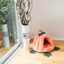 Load image into Gallery viewer, Armarkat Cat Bed Model C85CCS Pumpkin Shape