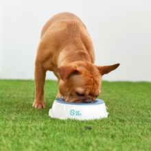 Load image into Gallery viewer, Ice Bowl - Pet Cooling Water Bowl