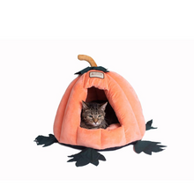 Load image into Gallery viewer, Armarkat Cat Bed Model C85CCS Pumpkin Shape