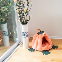 Load image into Gallery viewer, Armarkat Cat Bed Model C85CCS Pumpkin Shape