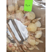 Load image into Gallery viewer, Handmade 11.5" Indoor/Outdoor Seashell &amp; Beach Sand Centerpiece/Wall Hanging.