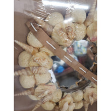 Load image into Gallery viewer, Handmade 12" Indoor Or Outdoor Seashell &amp; Beach Sand Centerpiece/Wall Hanging.