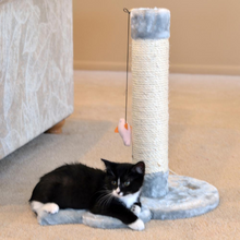 Load image into Gallery viewer, Armarkat Mouse Shape Real Wood Cat Scratcher Toy, Sisal Scratching Post For Kitty TraInIng