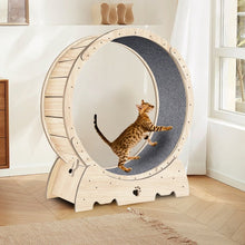 Load image into Gallery viewer, Feline Fitness Wheel