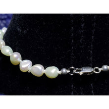 Load image into Gallery viewer, Freshwater Pearl, Hand Knotted Choker Necklace, 13" with Lobster Claw Clasp.