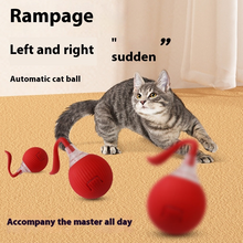 Load image into Gallery viewer, Interactive Cat Toy Ball Super Drive Cat Rolling Balls With Bird Chirping Motion Activated Sensor Pets Kitten Teaser Game Toys Pet Products