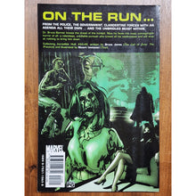 Load image into Gallery viewer, The INCREDIBLE HULK Transfer of Power Vol 3 Marvel 2003 Graphic Novel