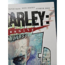 Load image into Gallery viewer, JOKER HARLEY Criminal Sanity Secret Files #1 (DC Comics Black Label) oversized F