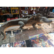 Load image into Gallery viewer, Alligator with Babies Incredible Creatures Figure Safari Ltd Reptile Toy, 2004
