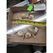 Load image into Gallery viewer, Handmade 8" Indoor/Outdoor Seashell &amp; Beach Sand Centerpiece/Wall Hanging.