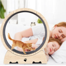 Load image into Gallery viewer, Feline Fitness Wheel