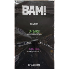 Load image into Gallery viewer, Spy X Family YOR FORGER - Enamel Pin - Bam! Anime Box - Limited Edition