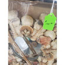 Load image into Gallery viewer, Handmade 12" Indoor/Outdoor Seashell &amp; Beach Sand Centerpiece/Wall Hanging.