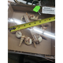 Load image into Gallery viewer, Handmade 7.5" Indoor/Outdoor Seashell &amp; Beach Sand Centerpiece/Wall Hanging.