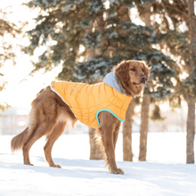 Load image into Gallery viewer, Winter Sailor Parka - Yellow