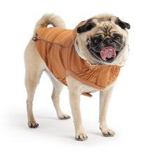 Load image into Gallery viewer, Insulated Raincoat - Hazel