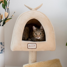 Load image into Gallery viewer, Armarkat X3007 Real Wood Cat Condo, Cat Scratching Post With Plush Condo, Cuddle