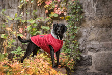 Load image into Gallery viewer, Brave Bark Thermal Parka - Red